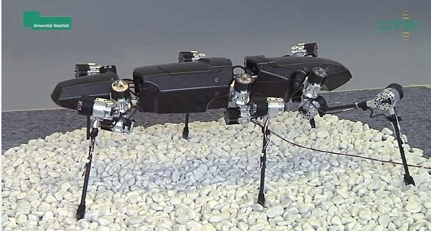 6條機器腿的機器人誕生