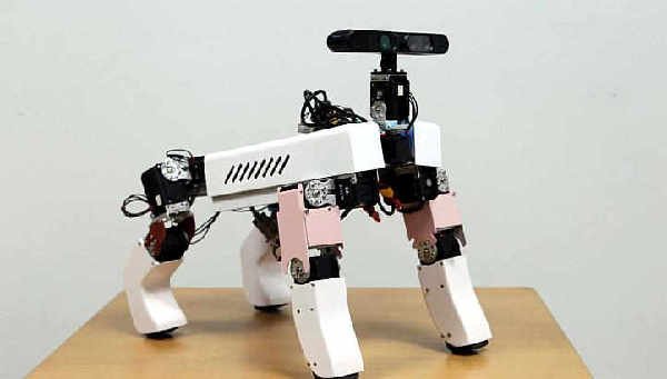 盤點(diǎn)為老年人提供便利的機(jī)器人