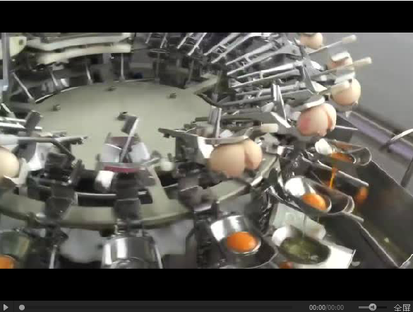 一個(gè)雞蛋在自動化流水線上的發(fā)生的故事！